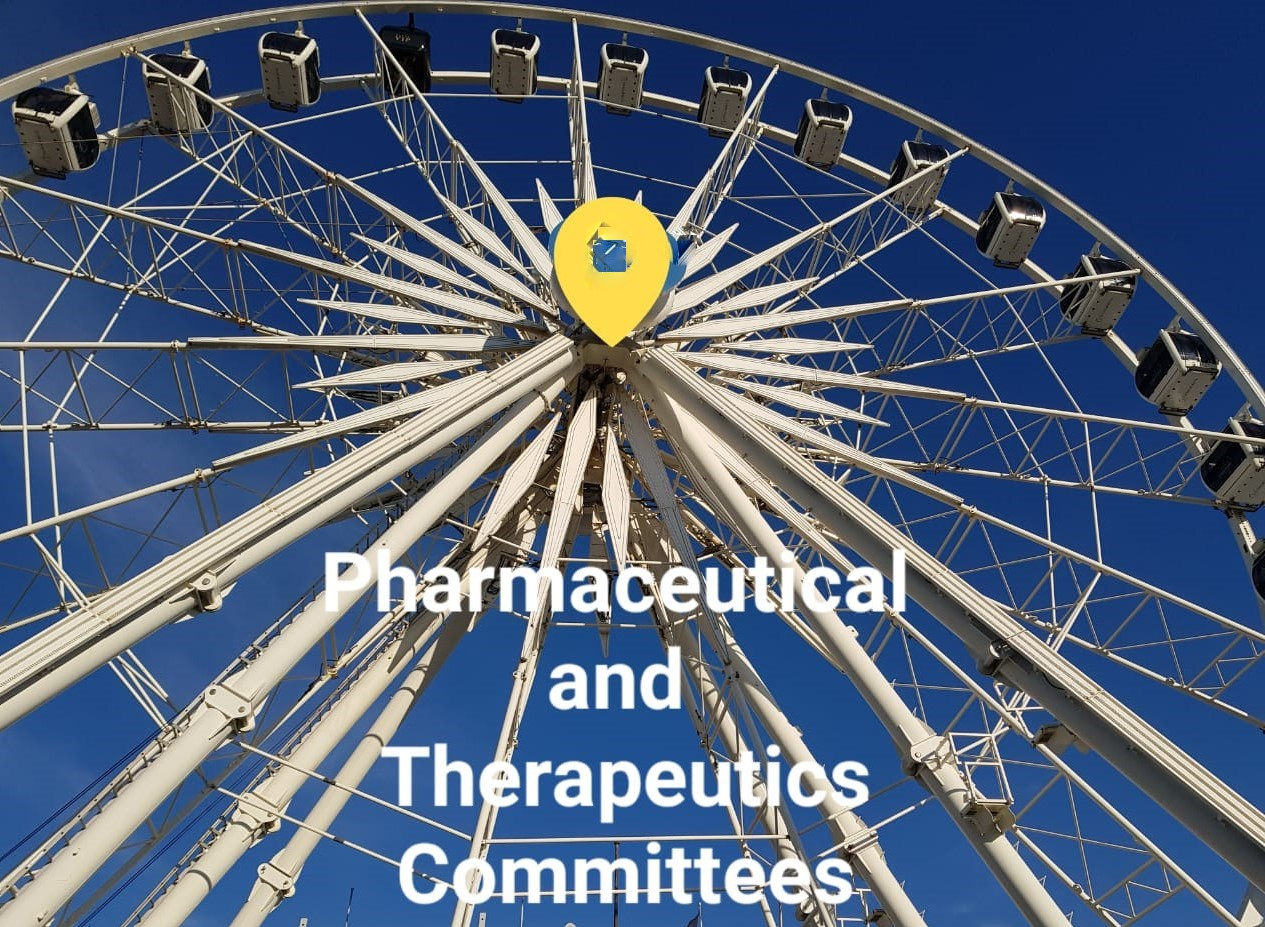Introduction to Pharmaceutical and Therapeutical Commitees 29 May 2023